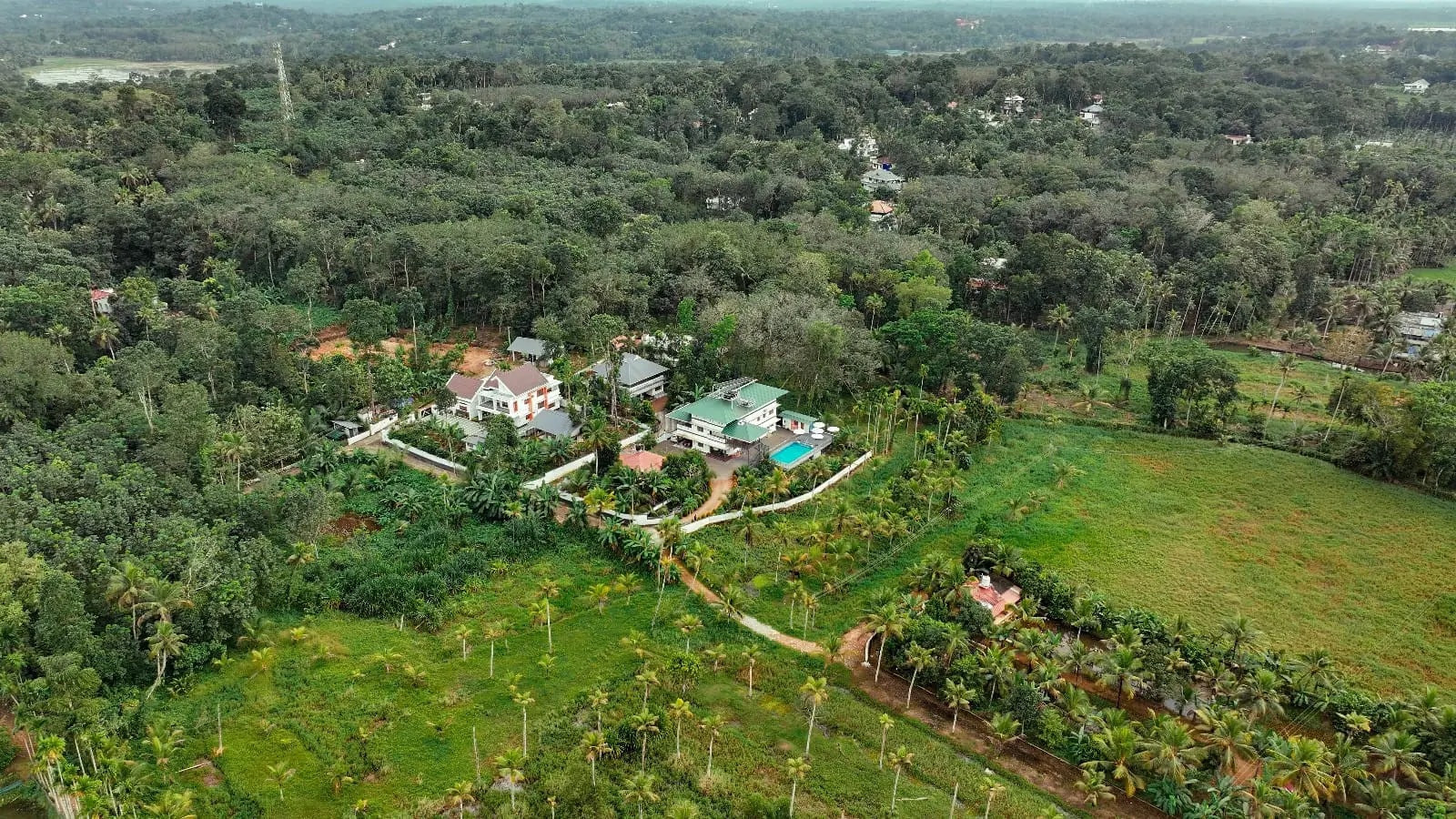 Bikis Palm Villa Hero