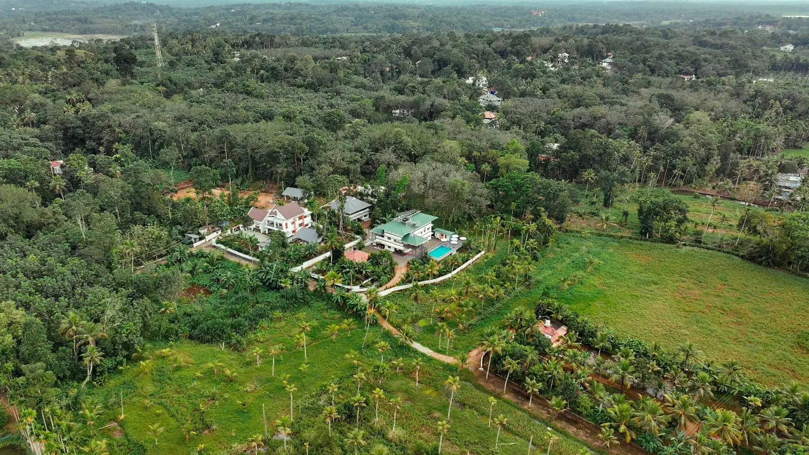 Activities and Entertainment