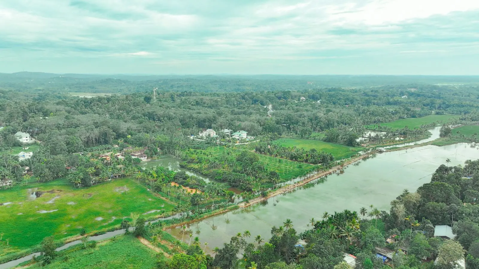 Family enjoying a Pedal Boat Ride