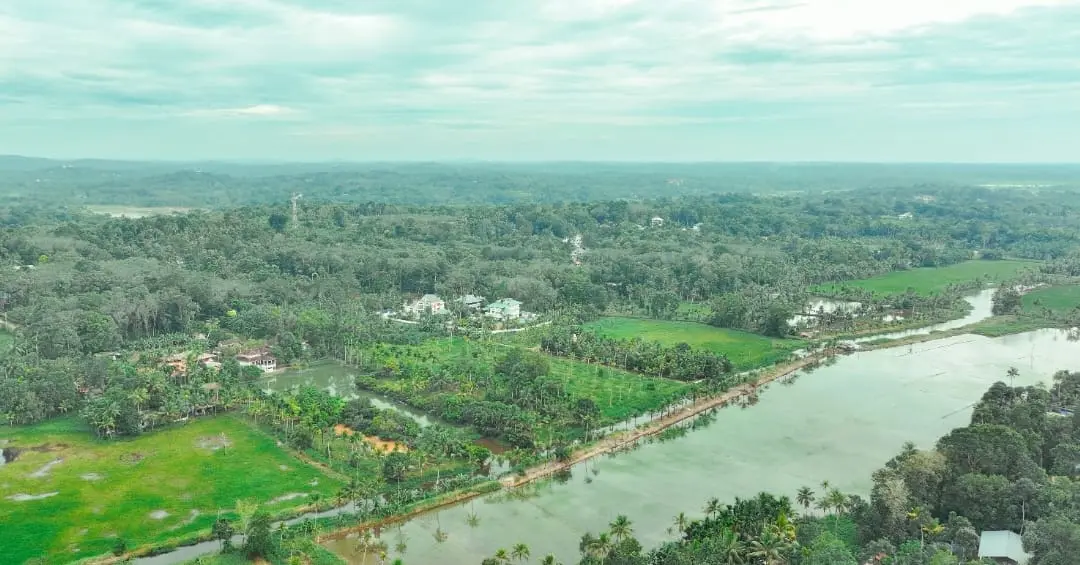 Traditional Kerala boat ride